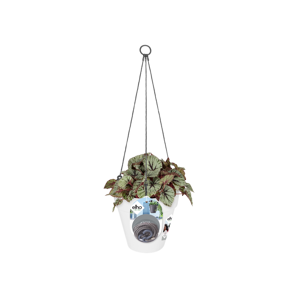 Loft Urban Hanging Basket 20