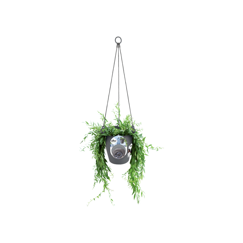 Loft Urban Hanging Basket 20