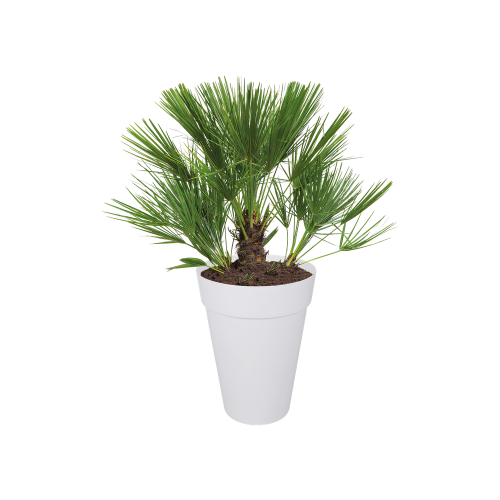 Loft Urban Round High 42
