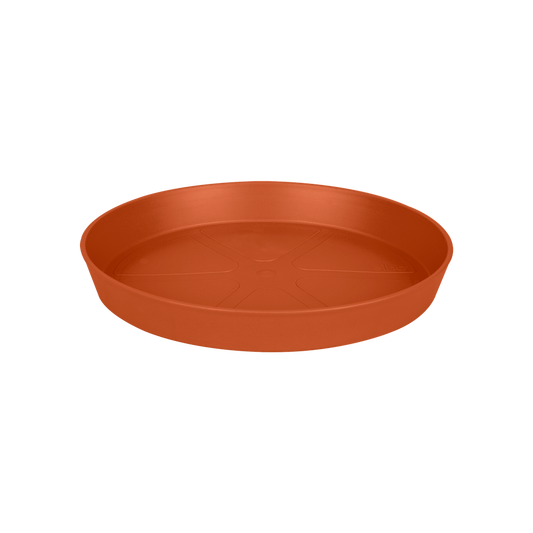 Loft Urban Saucer Round 24