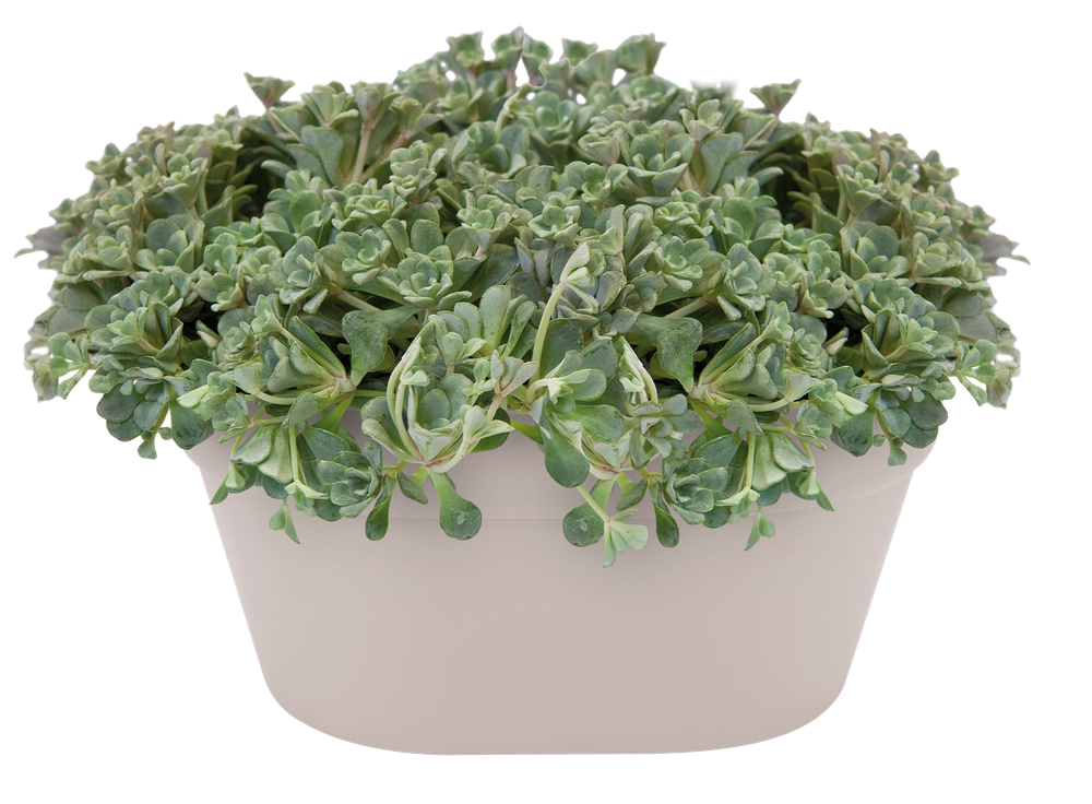 Loft Urban Wall Basket 40