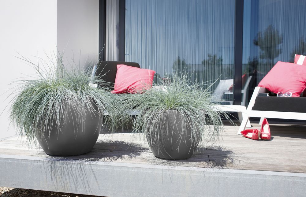 Pure Soft Round Wheels 40