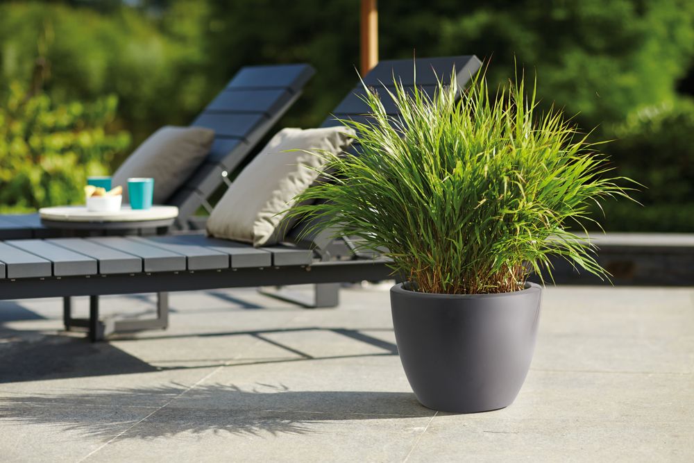 Pure Soft Round Wheels 40