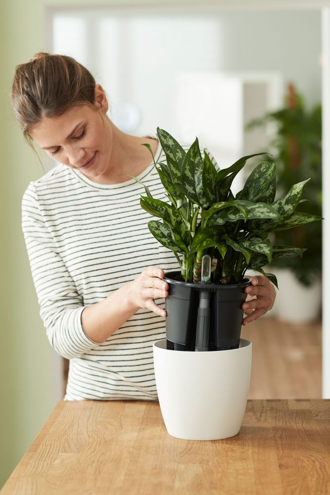 Self-watering Insert 15