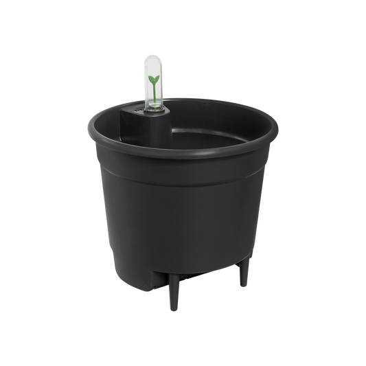 Self-watering Insert 24