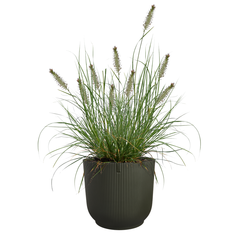 The Grass Collection Round 30