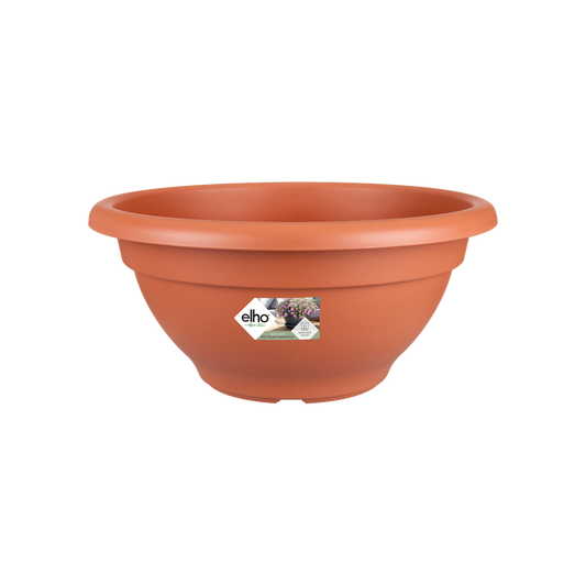 Torino Bowl 30
