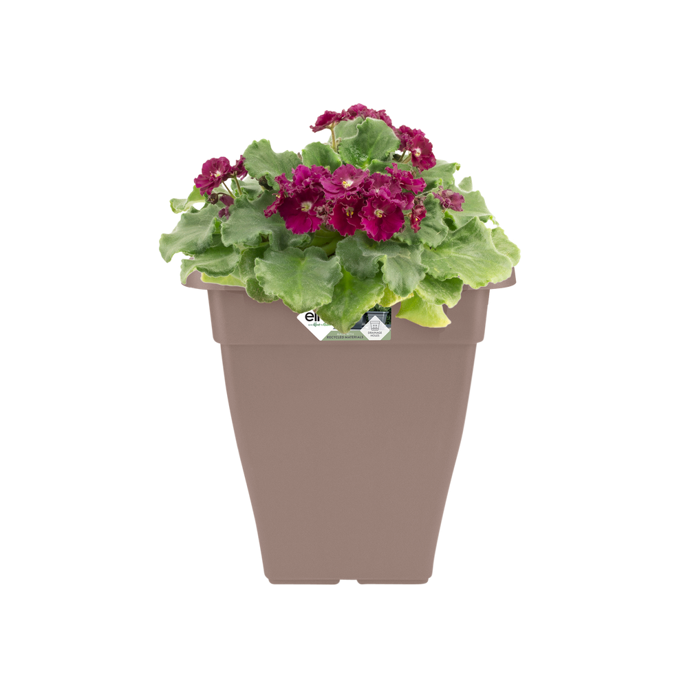 Torino Campana Square High 32