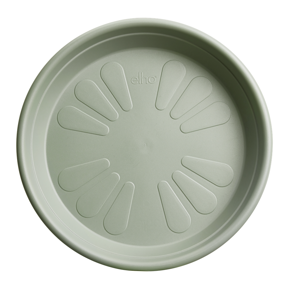 Universal Saucer Round 35