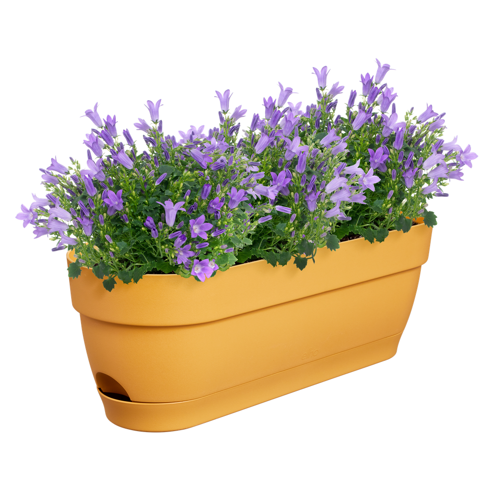 Vibia Campana Trough 50