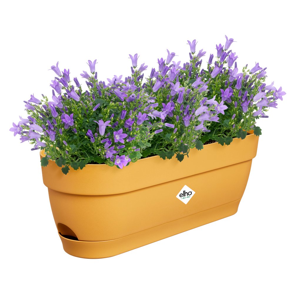 Vibia Campana Trough 50