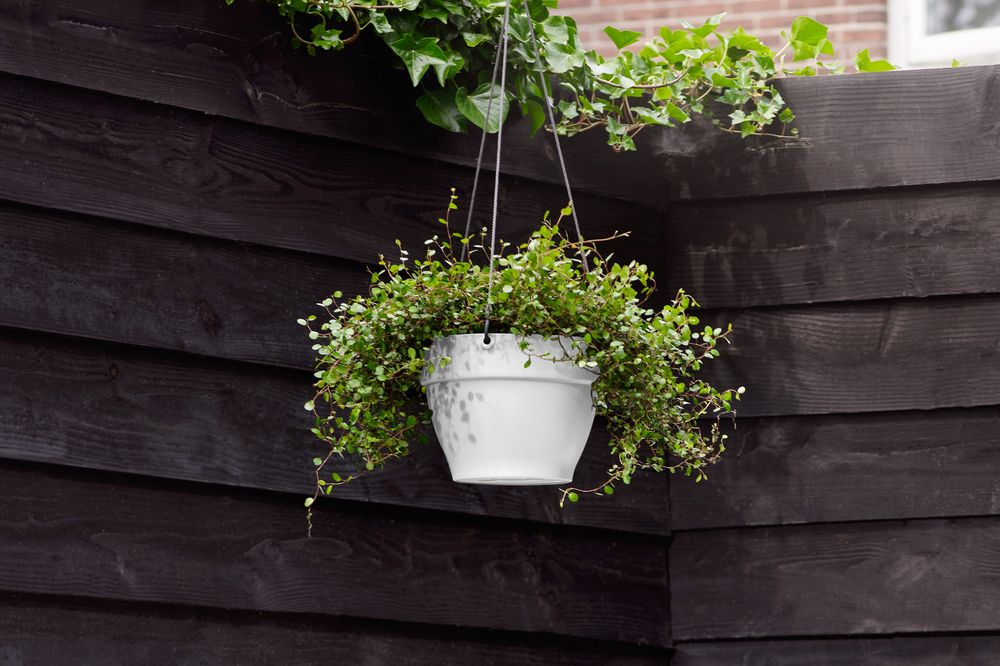 Vibia Campana Hanging Basket 26