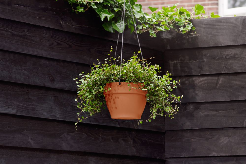 Vibia Campana Hanging Basket 26