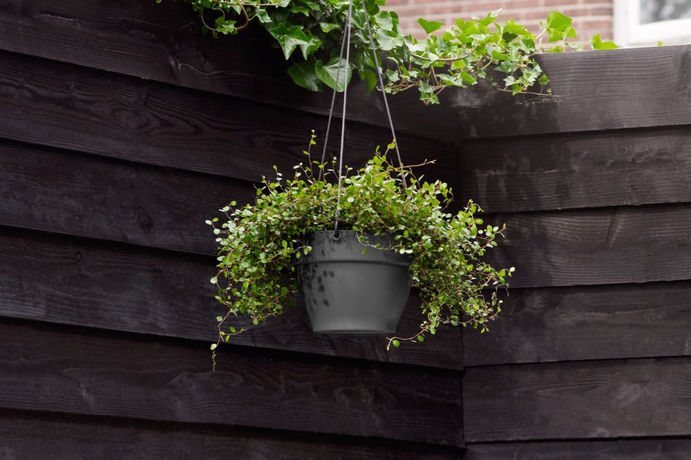 Vibia Campana Hanging Basket 26