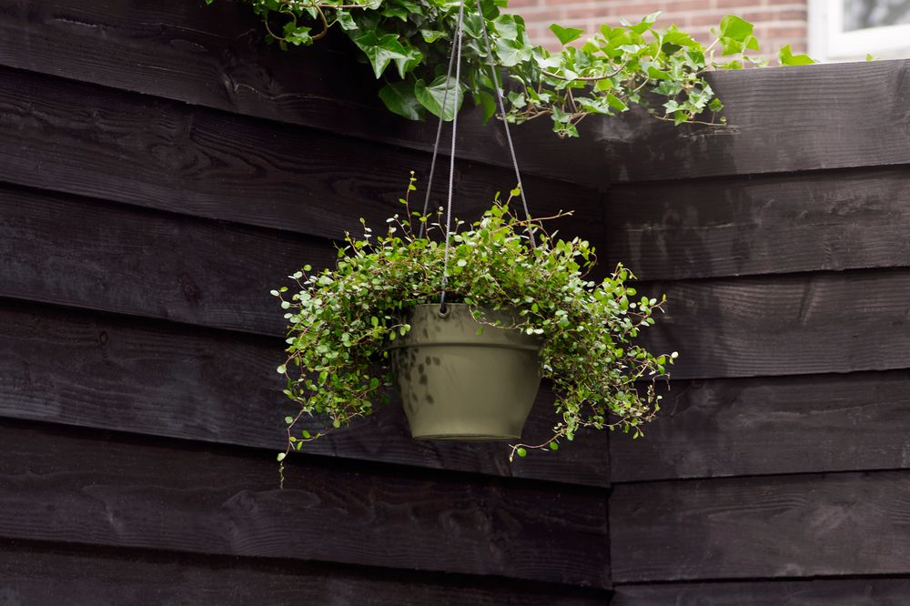 Vibia Campana Hanging Basket 26