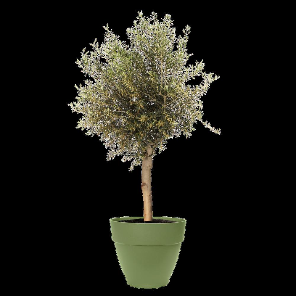 Vibia Campana 55
