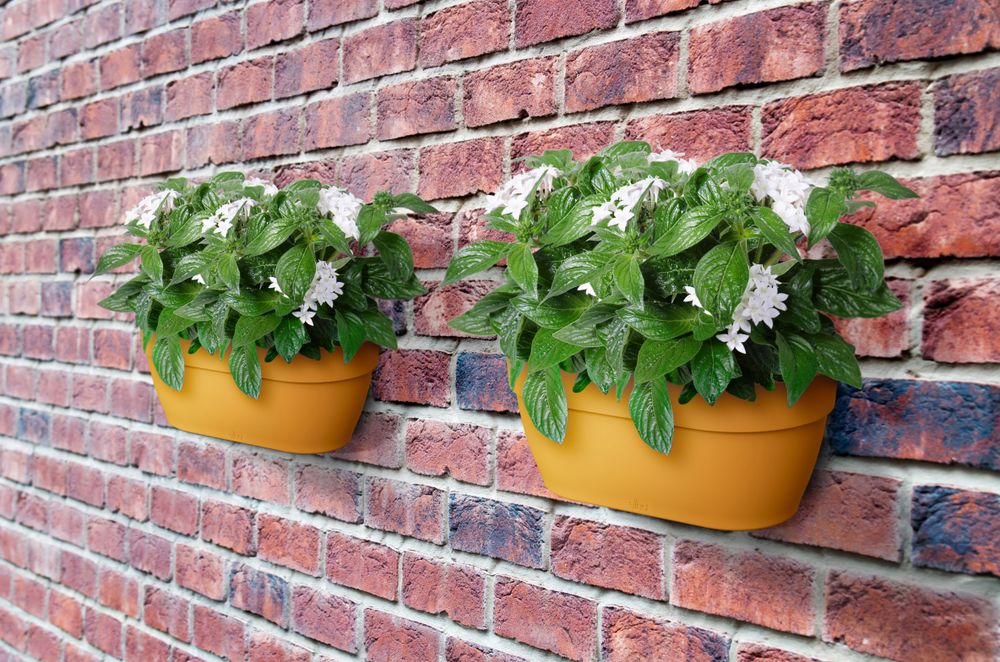 Vibia Campana Wall Basket 35